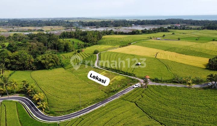 Tanah Pemandangan Sawah & Laut Area Baraban Tabanan