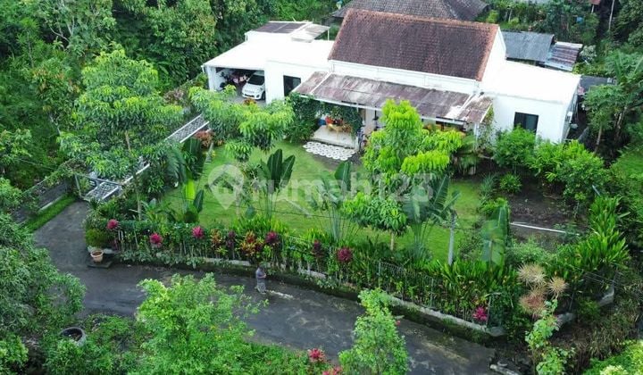 For Sale: 1-Story House in Tabanan, Selemadeg Wanagiri with Jungle View. Quiet and Comfortable Rural Environment.