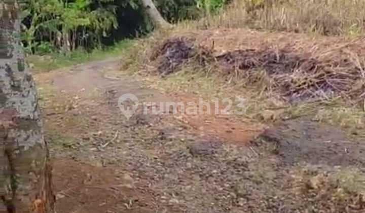 Lahan Zona Perumahan di Jonggol Jawa Barat