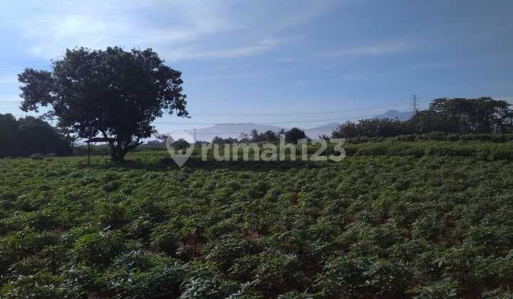 Di Jual Tanah MURAH 1 hektar di Bogor Tanah Sereal, Jawa Barat