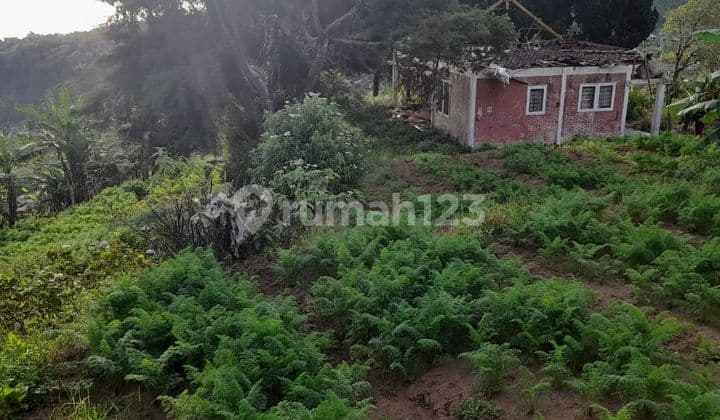 PASTI CLOSING DI JUAL TANAH VIEW LAUT LOKASI MUNDUK TAMBLINGAN BULELENG