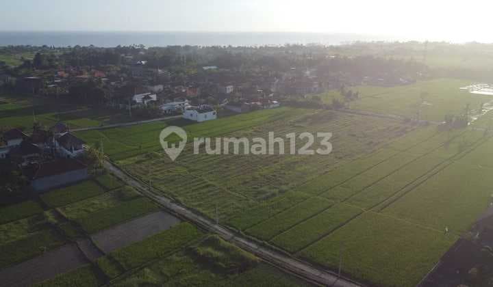 Hot List Di Jual Tanah View Gunung Sawah Lokasi Kedungu Kediri Tabanan