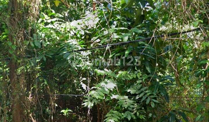Hot List of land for sale in Jimbaran, South Kuta, Badung