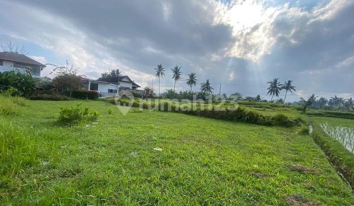 Hot List Di Jual Tanah View Gunung Sungai Lokasi Peliatan Ubud Gianyar