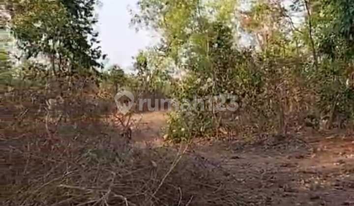 Hot List of land for sale in Kampial Nusa Dua Benoa, South Kuta, Badung