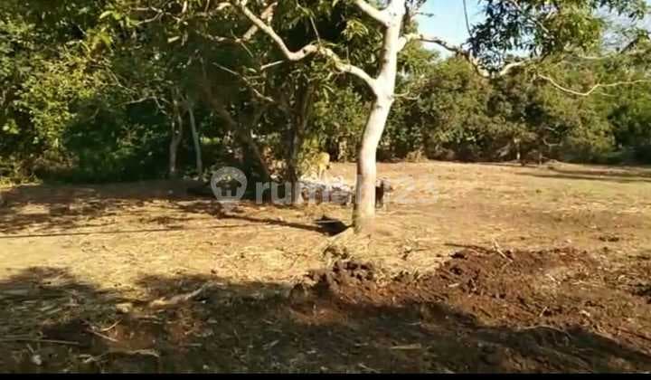 Hot List Di Jual Tanah Lokasi Jimbaran Kuta Selatan Badung