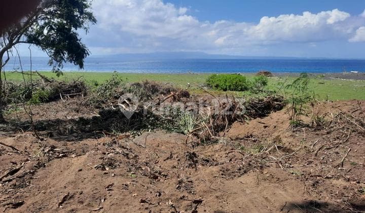 Hot List Termurah Di Kelasnya Di Jual Tanah Loss Pantai View Laut Lokasi Padang Bai Karangasem