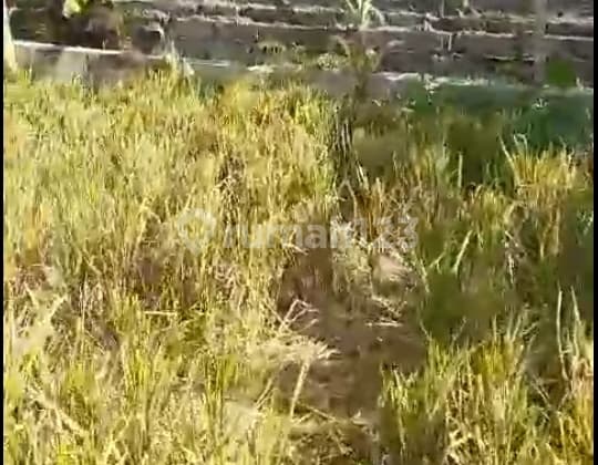 Hot List Termurah Di Kelasnya Di Jual Tanah Lokasi Kesiman Kertalangu Denpasar Timur