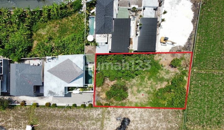 Hot List Di Jual Tanah View Sawah Lokasi Seminyak Kuta Badung