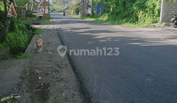 Hot List Di Jual Tanah Lokasi Pangkung Karung Kerambitan Tabanan
