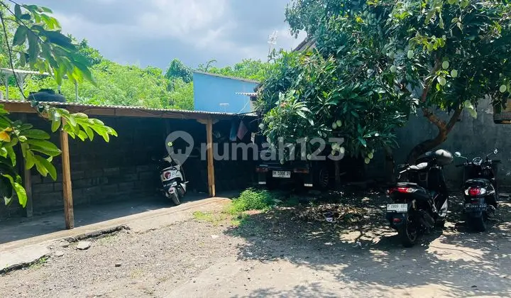 Hot List Di Jual Tanah Bonus Bangunan Kos Lokasi Tunjung Sari Denpasar Barat