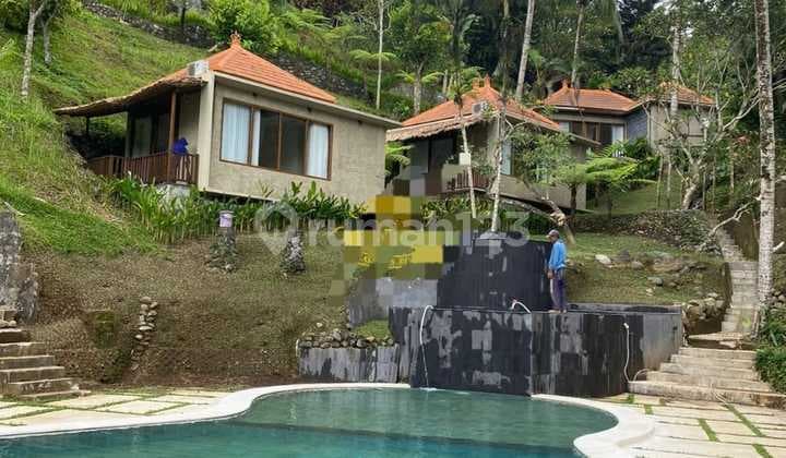 Hot List Termurah Di Kelasnya Di Jual Villa Lokasi Payangan Ubud Gianyar