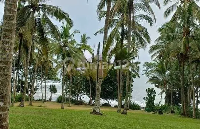 Hot List for Sale of Land Loss Beach View Sea Location Pekutatan Jembrana