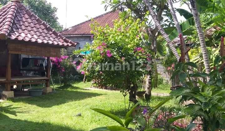 Hot List Di Jual Villa Lokasi Uluwatu Kedonganan Kuta Selatan Badung