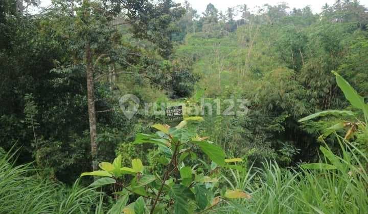 Hot List Di Jual Tanah View Sawah Lokasi Madangan Petak Gianyar