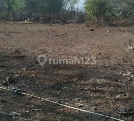 Hot List of land for sale in Pandawa Kutuh Nusa Dua, South Kuta, Badung