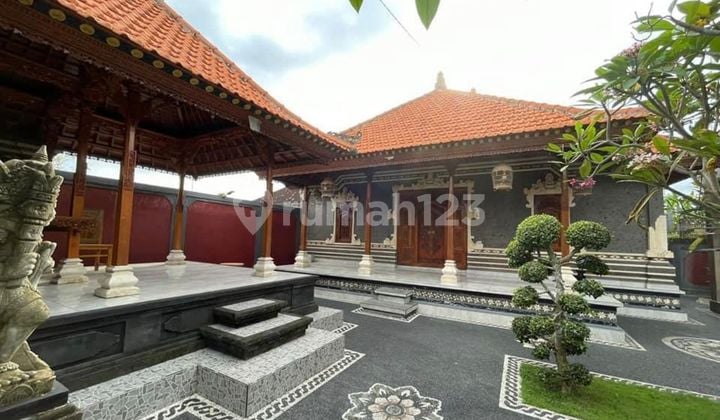 Hot List for Sale of Rice Field View Houses in Czechomaria, North Denpasar