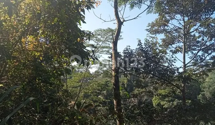 TOP URGENT DI JUAL TANAH LOKASI TARO TEGALLALANG UBUD GIANYAR