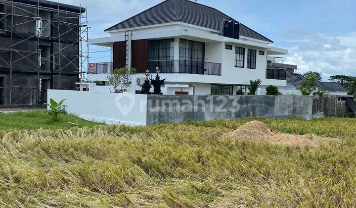 Tanah Disewa Lokasi Pererenanlebar Depan 25 Meter