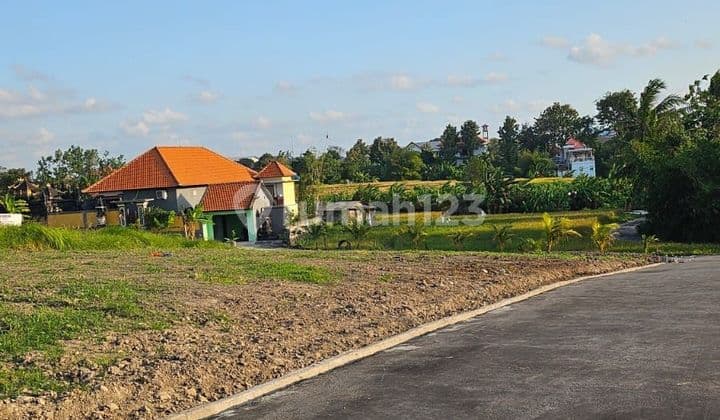 SUSUSUSUSUPER DI JUAL TANAH VIEW SAWAH LOKASI TUMBAK BAYUH CANGGU KUTA UTARA BADUNG