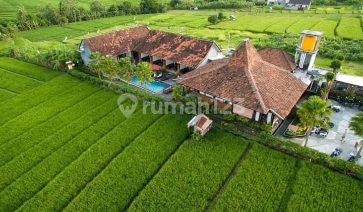 Pasti Deal Di Jual Guesthouse Lokasi Abasan Tibubeneng Kuta Utara Badung Bali