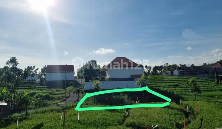 Pasti Closing Di Jual Tanah View Sawah Lokasi Padonan Canggu Kuta Utara Badung