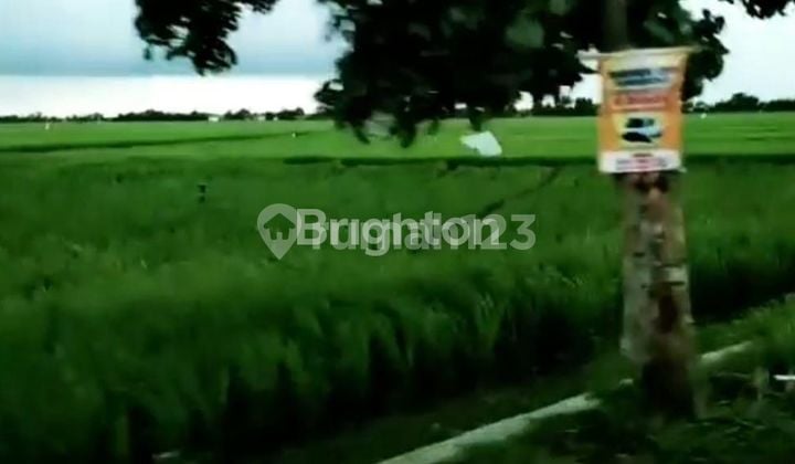 STRATEGIC LAND SUITABLE FOR HOUSING STRATEGIC LAND SUITABLE FOR HOUSING