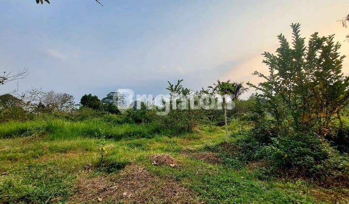 Tanah Lokasi Dekat Perumahan Dibawah Njop