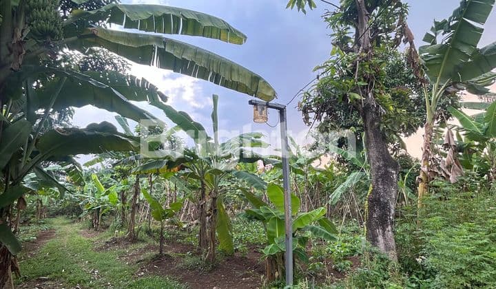 Tanah Kampung 850m Cilangkap Depok