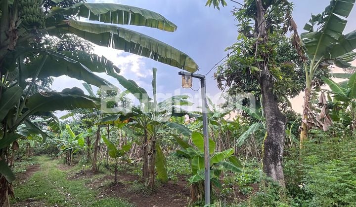 Tanah Kampung 850m Cilangkap Depok