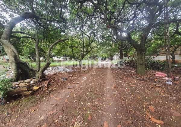 Tanah Siap Bangun Strategis Dekat Tol Dan Perumahan Mewah di Rangkapanjaya