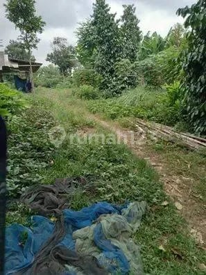 Tanah Kebun Cocok untuk Gudang atau Sekolah di Babat Legok
