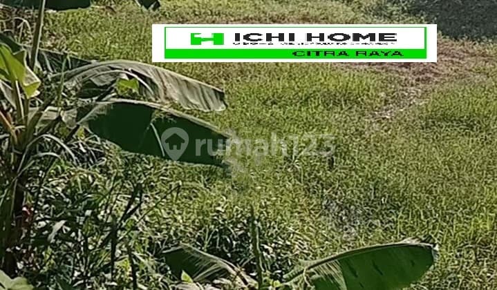 Tanah Harga Murah di Mekarsari Maja Lebak