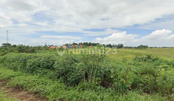 Land for Sale in a Strategic Location in Maja, Lebak, Banten