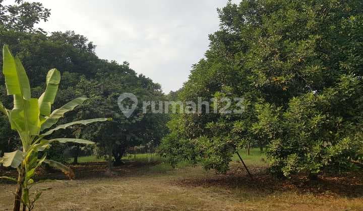 Tanah Kavling Luas Di Pasar Kemis Tangerang
