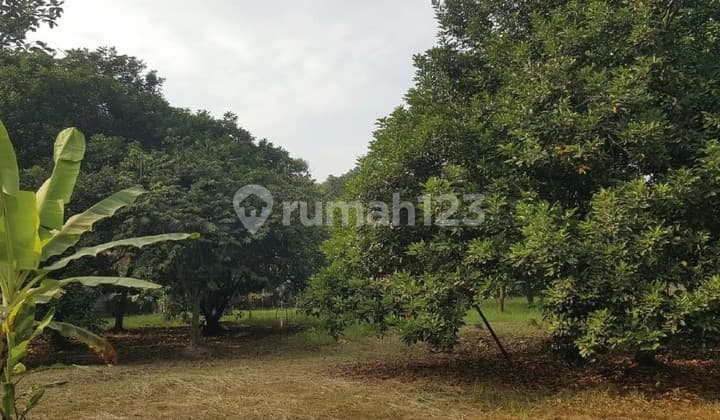 Land for Sale in Strategic Location in Cikupa Tangerang