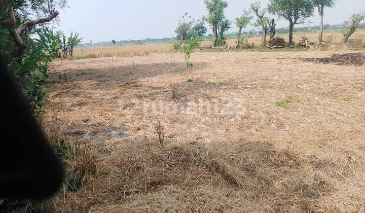 Dijual Tanah Siap Pakai Di Sindang Jaya Tangerang