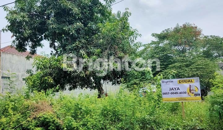 TANAH STRATEGIS MOJOSONGO