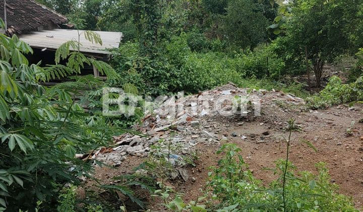 Land for Housing Prospects