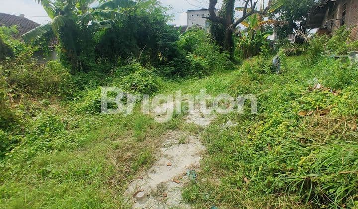 TANAH MOJOSONGO SMA 8