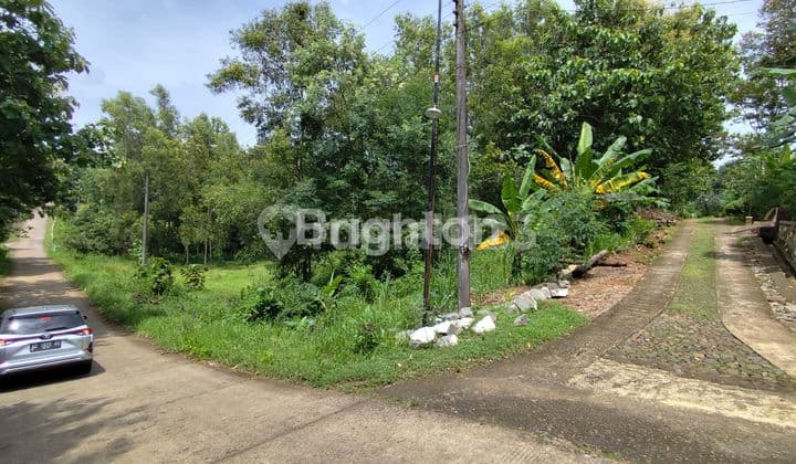 TANAH LUAS NGADIROJO WONOGIRI