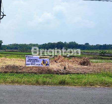 TANAH DI JALAN RAYA GIRIMARGO - MIRI