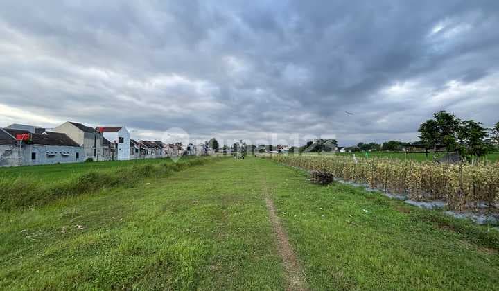 Kavling Siap Bangun, SHM, Dekat Al Azhar School
