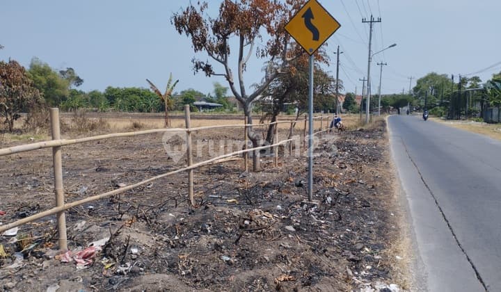 Commercial Land by the Side of Karangmlati Demak Highway