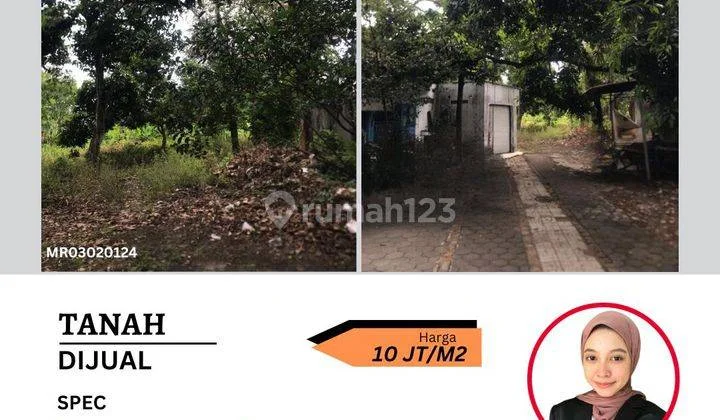 Tanah di Pusat Pati Kota Jl. Jenderal Sudirman , Pati Kidul, Kec. Pati, Kabupaten Pati, Jawa Tengah 59114 Tanah di Pusat Pati Kota Jl. Jenderal Sudirman , Pati Kidul, Kec. Pati, Kabupaten Pati, Jawa Tengah 59114