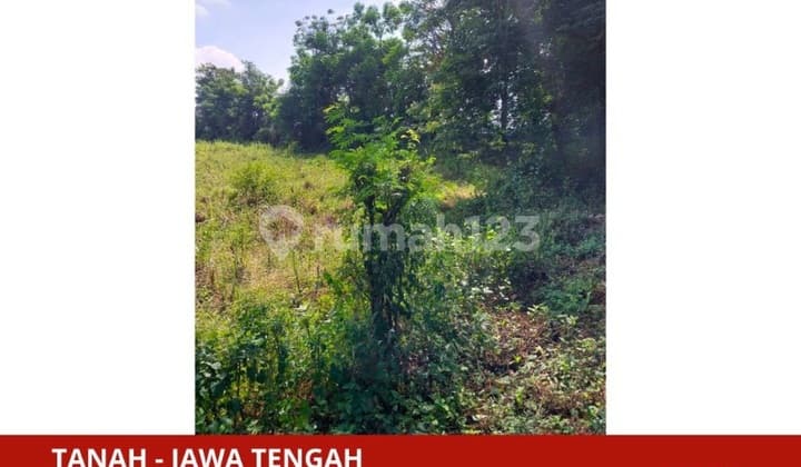 Tanah Di Pati Strategis Di Kawasan Industri Depan Jalan Raya