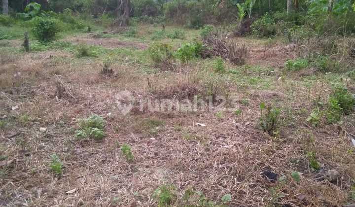 Tanah di Jalan Karang Indah, Lampung Selatan SHM 1.200 M²