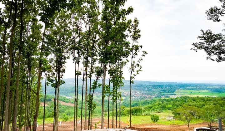 Tanah di Jalan Puncak 2 , Bogor SHM 100 M²