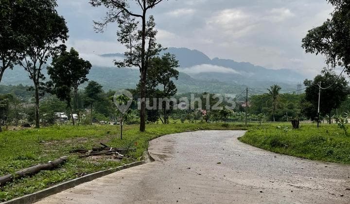 Tanah Murah View Sawah dan Gunung diCariu, Bogor