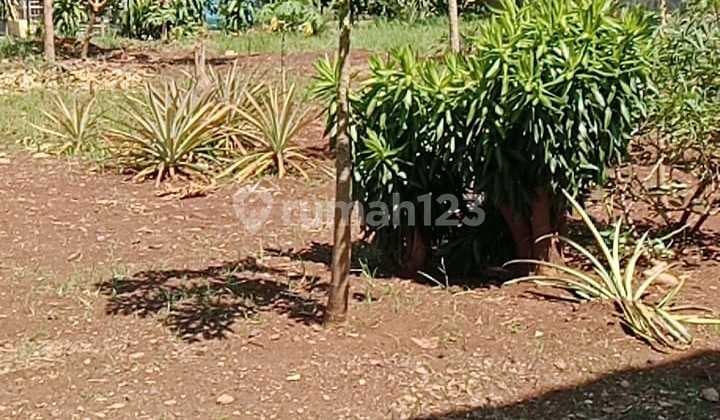 Dijual Cepat Tanah Lokasi Strategis di Pondok Kelapa